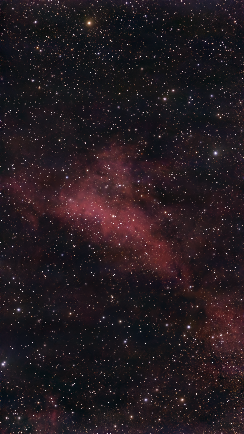 IC 1318A